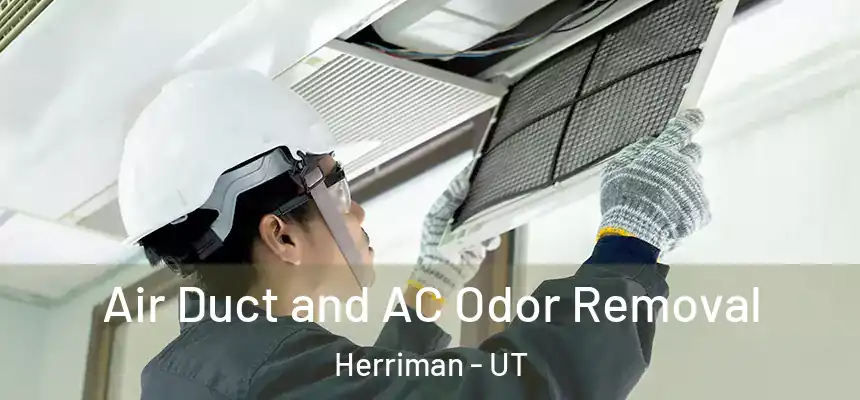 Air Duct and AC Odor Removal Herriman - UT