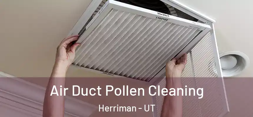 Air Duct Pollen Cleaning Herriman - UT