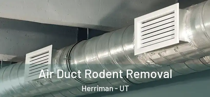  Air Duct Rodent Removal Herriman - UT