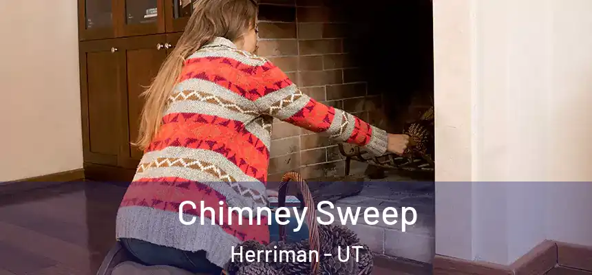 Chimney Sweep Herriman - UT