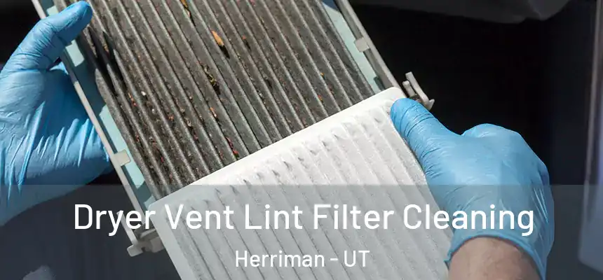 Dryer Vent Lint Filter Cleaning Herriman - UT