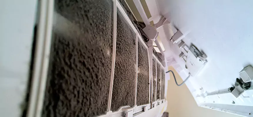 Preventive Air Duct Bacteria Removal in Herriman