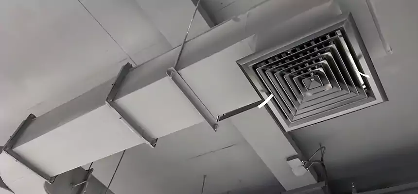 Restorative Allergy Relief Vent Cleaning – Coil, Blower & Housing Detail in Herriman