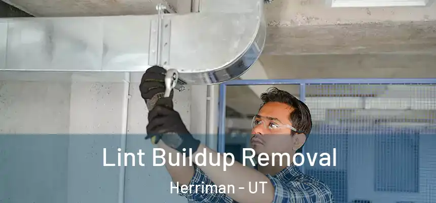 Lint Buildup Removal Herriman - UT