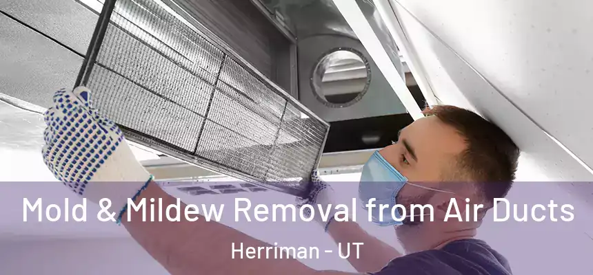  Mold & Mildew Removal from Air Ducts Herriman - UT