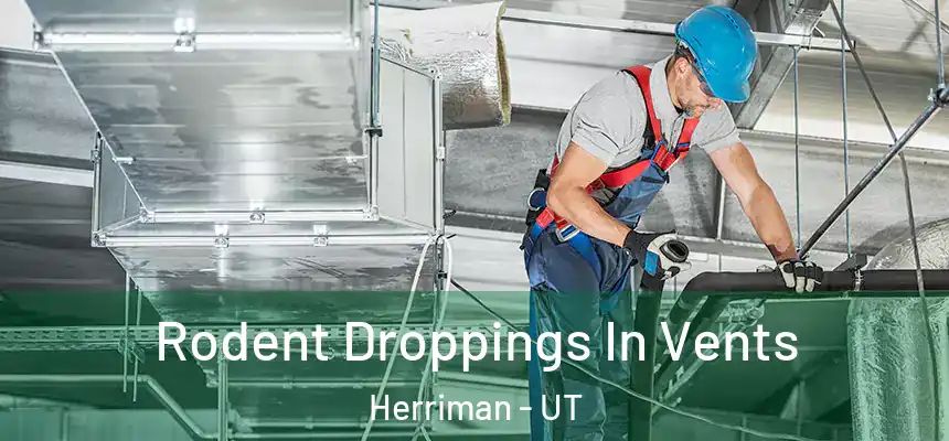 Rodent Droppings In Vents Herriman - UT