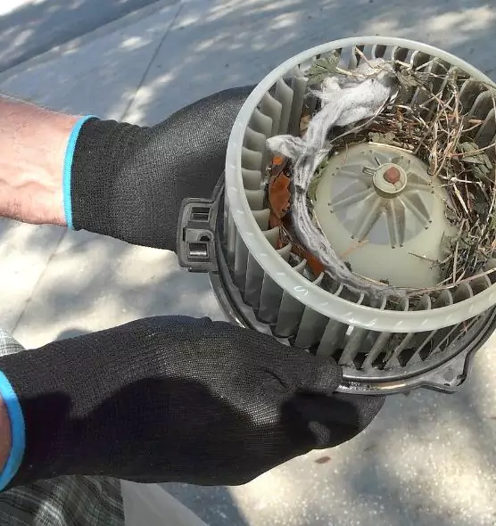 About Air Duct Mice Removal in Herriman, UT